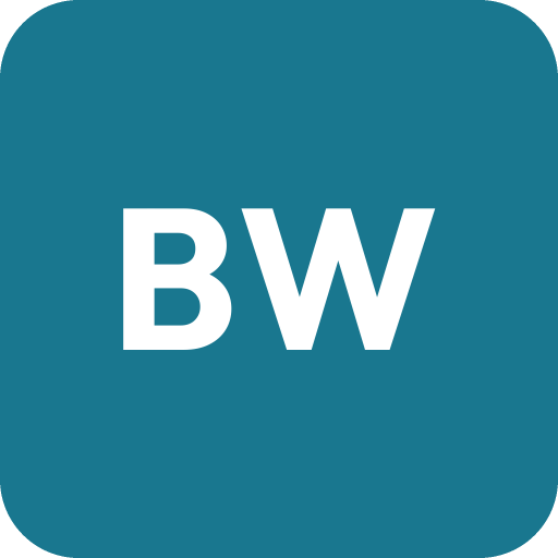 Bay Wash Laundry logo